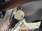 2024 Chevrolet Low Cab Forward 4500 HG BASE