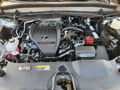 2025 Lexus TX TX 350